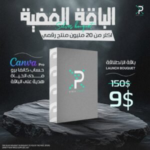 🥈 الباقة الفضية – باقة الانطلاقة | طريقك لبداية عمل أونلاين بـ 20 مليون منتج رقمي!